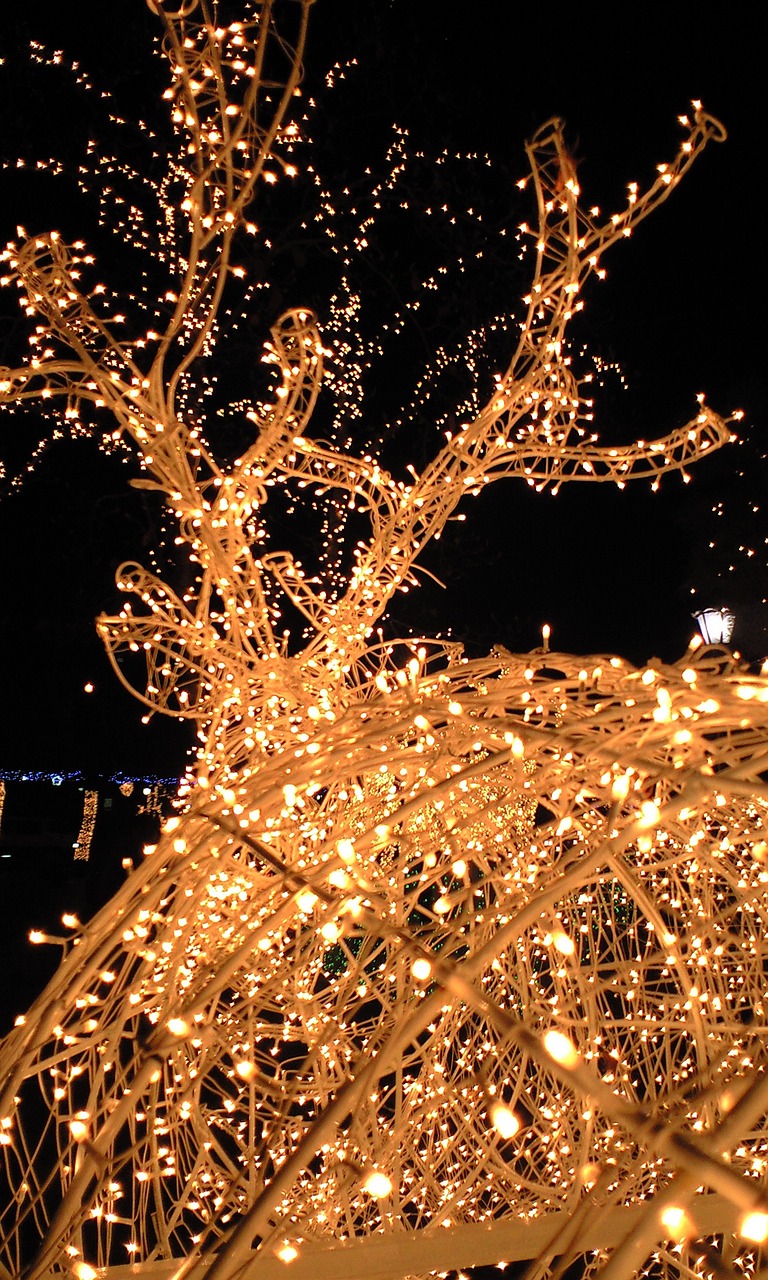 LED Christmas Lights - Energy Efficient and Long-Lasting
